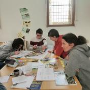IMG_20240131_141839