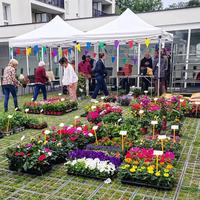 IMG_20240514_220854_784