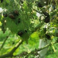 IMG_20240710_145951