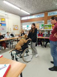 IMG-20240909-WA0026