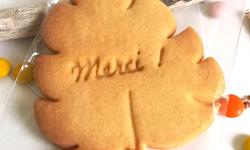biscuit-personnalise-feuille-tropical-savane