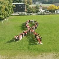IMG_20241003_103841