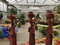 IMG_20221209_115619