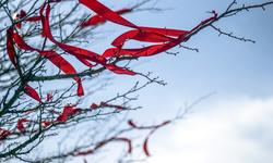 blue-sky-1919705_1280
