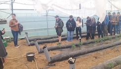 Les BTS en immersion au cœur de l'innovation horticole
