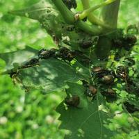 IMG_20240710_145910