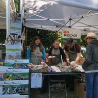 IMG_20250501_095421