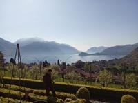 IMG-20250418-WA0001