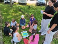 IMG-20250611-WA0004