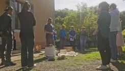 Faites vos graines, prenez-en de la graine