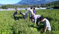 Une semaine les mains dans la terre pour les 2nde Horticulture