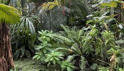 Sortie pédagogique des BTS MV 1 & 2