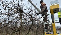 Immersion professionnelle des BTS Métiers du Végétal chez Thomas Le Prince